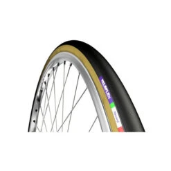 Boyau Veloflex Record (700x22)